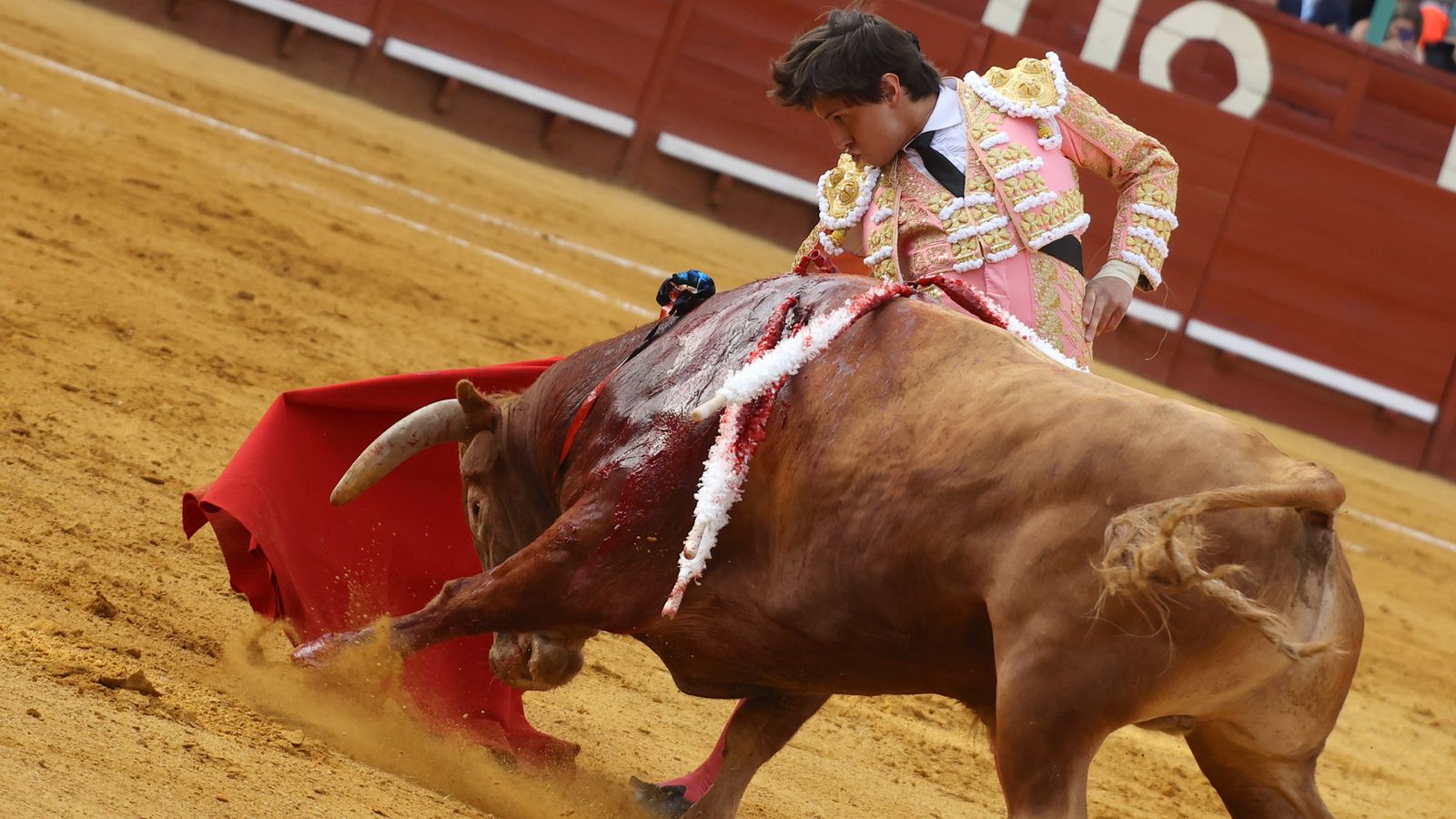 Tercera tarde de toros y última de la Feria de Jerez con Morante, Juan Ortega y Roca Rey
