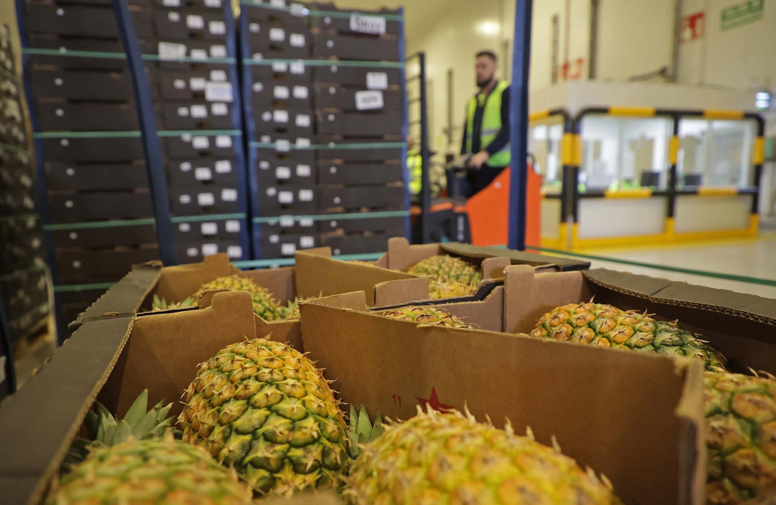 Fotos de la visita a la empresa Americold en el Puerto de Algeciras