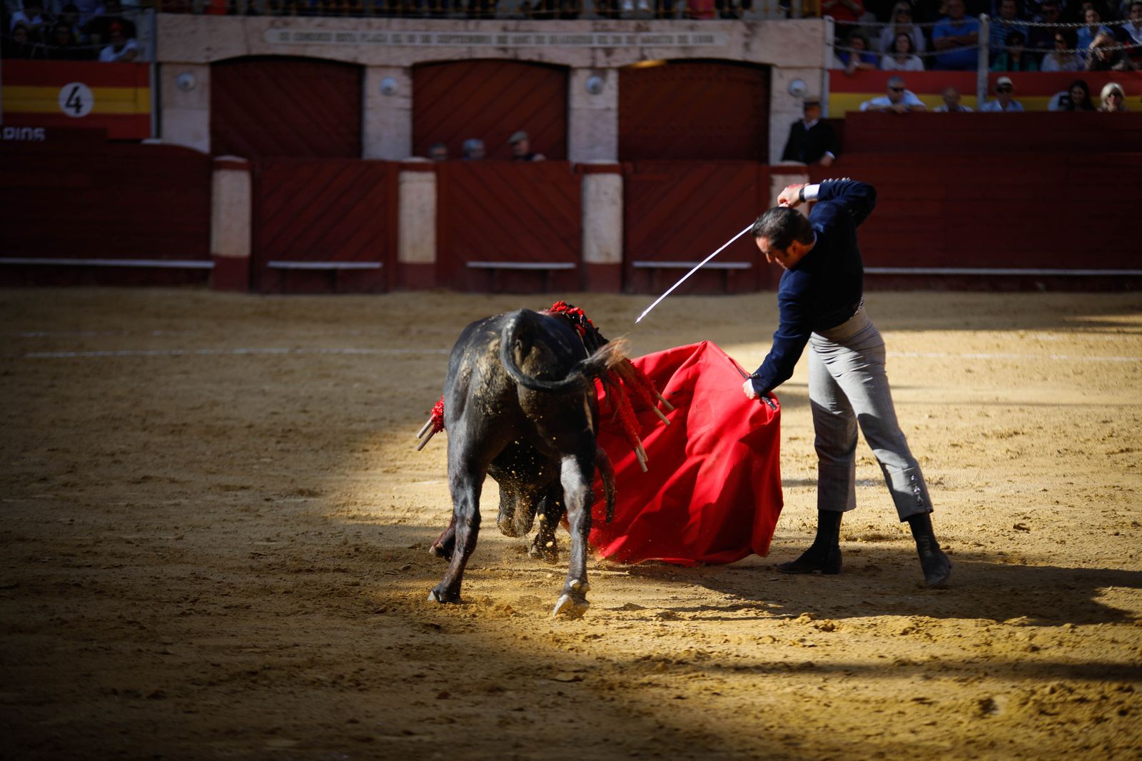Imágenes del festival mixto lucha contra el cáncer
