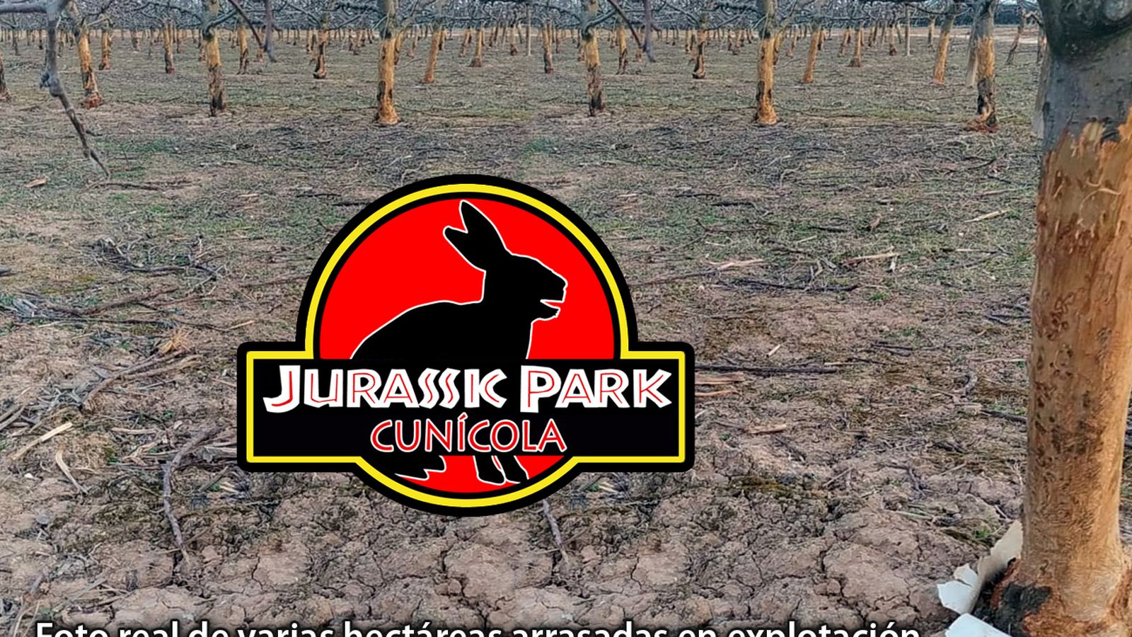 Cartel que emula a Parque Jurásico, pero cunícola