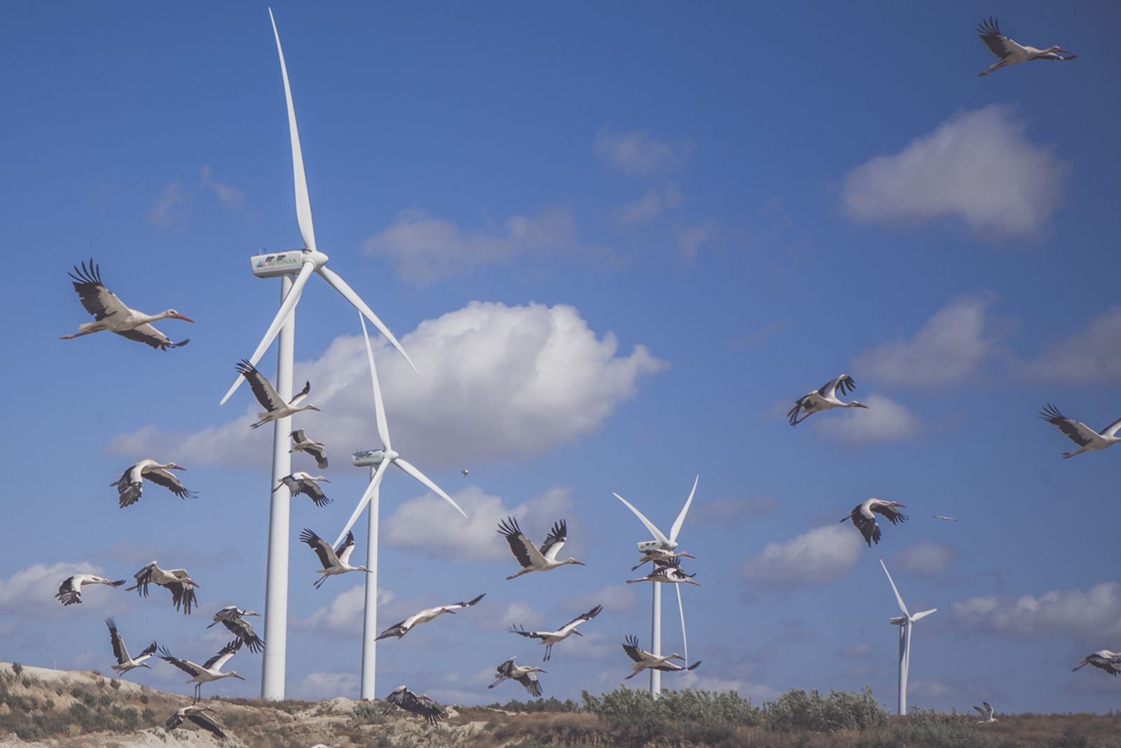 La desconocida gestión de los residuos