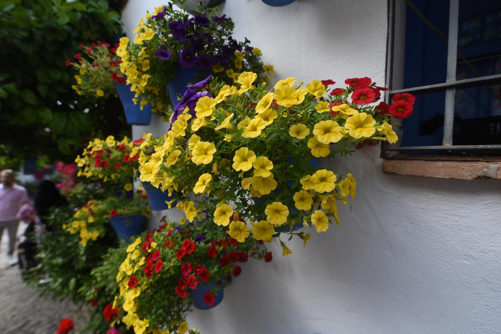 Los Patios de la ruta de San Lorenzo, en imágenes