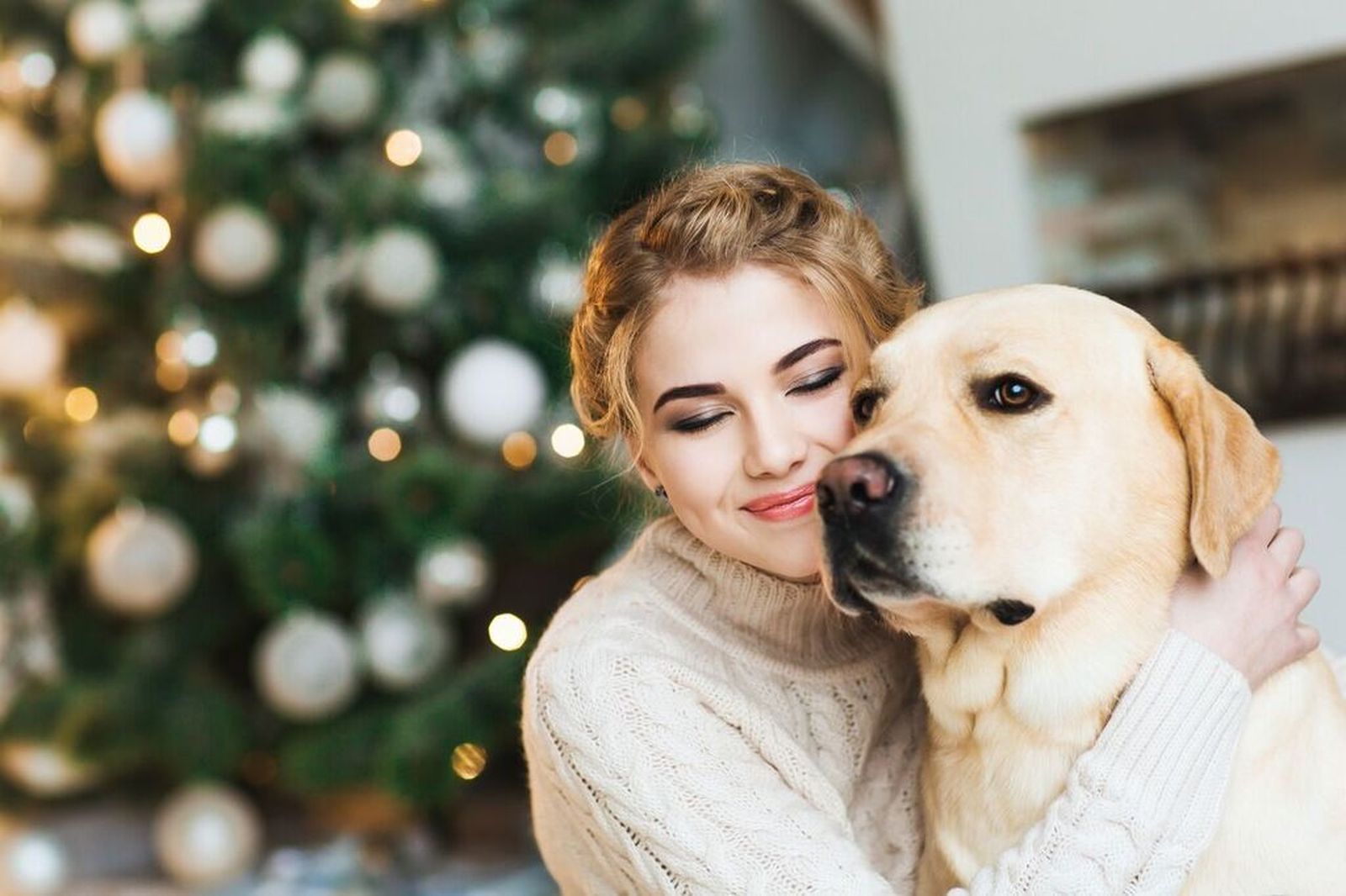 Emergencias veterinarias