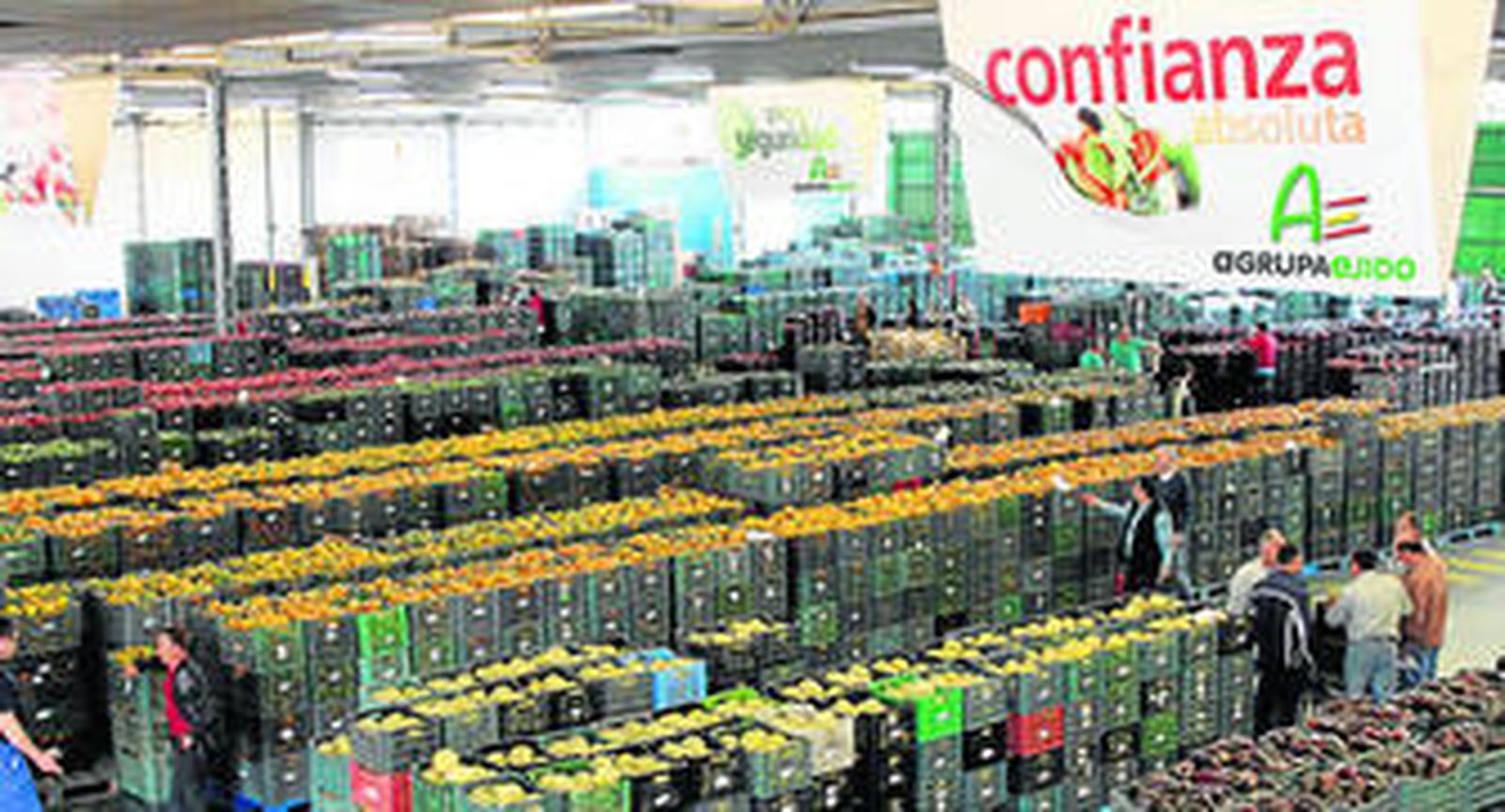 Imagen de la subasta de la comercializadora Agrupaejido, que ha dado un salto cualitativo al fichar a Vodafone como socio tecnológico.