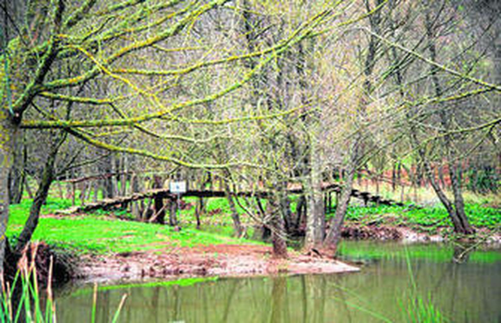 Un paraíso para el visitante