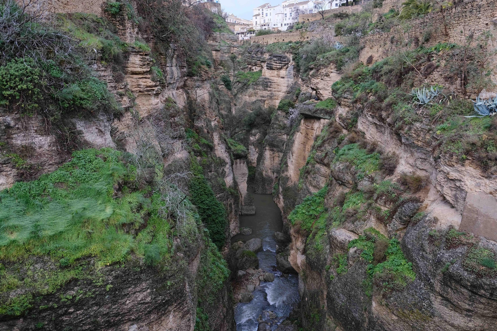 Transformación del paisaje por la lluvia, en fotos