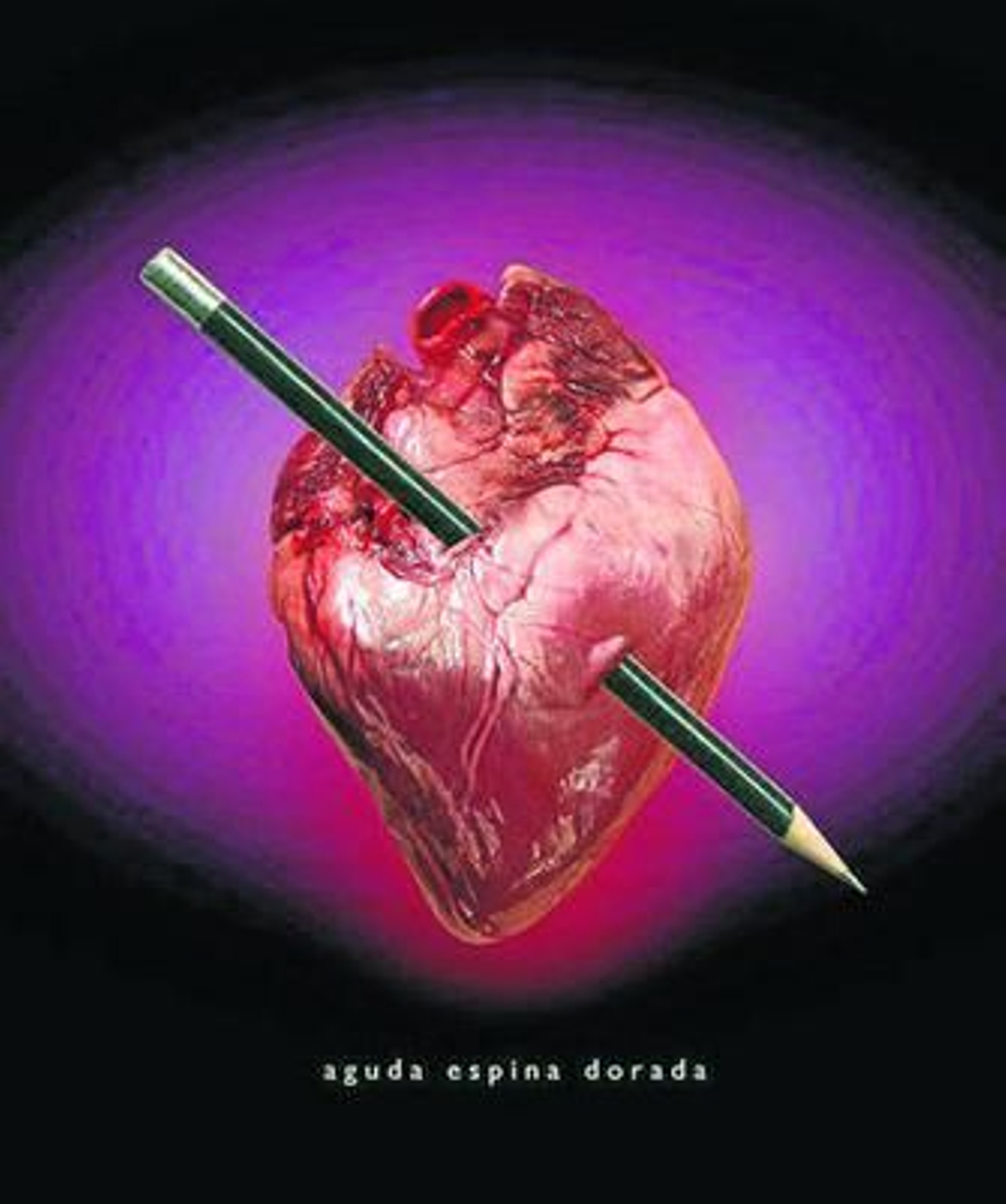 'Aguda espina dorada', de Juan Vida.