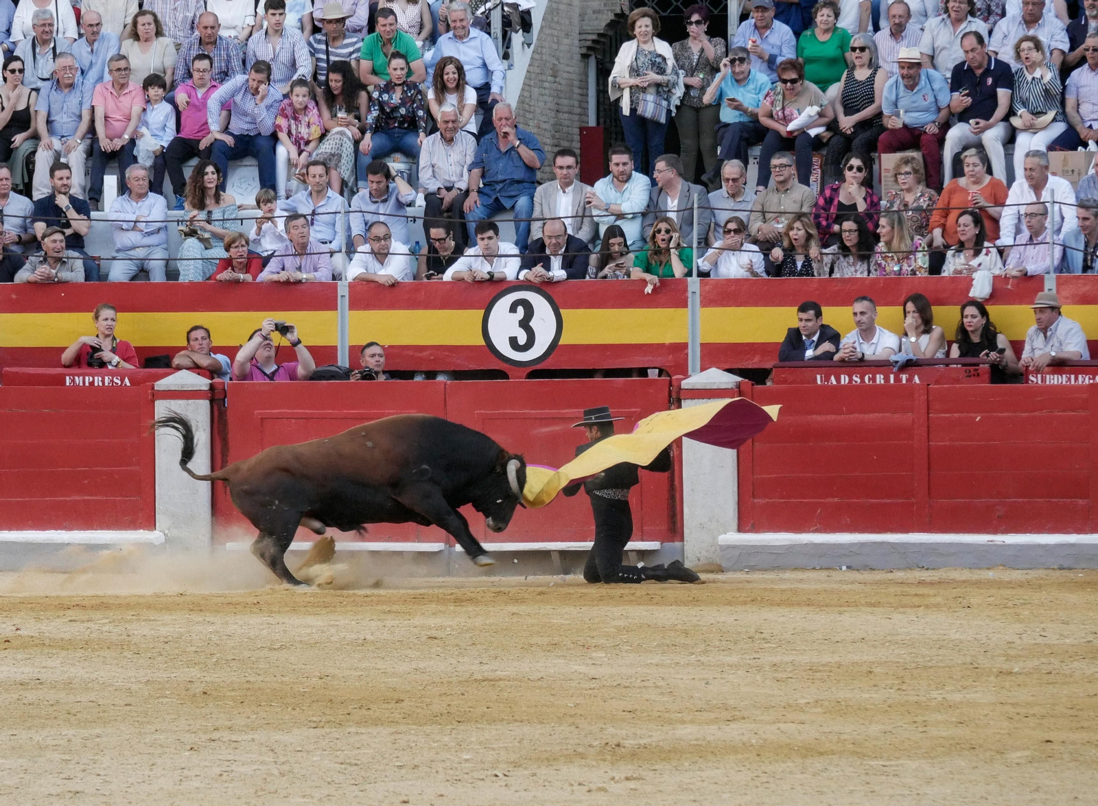 Festival taurino a beneficio de Down Granada