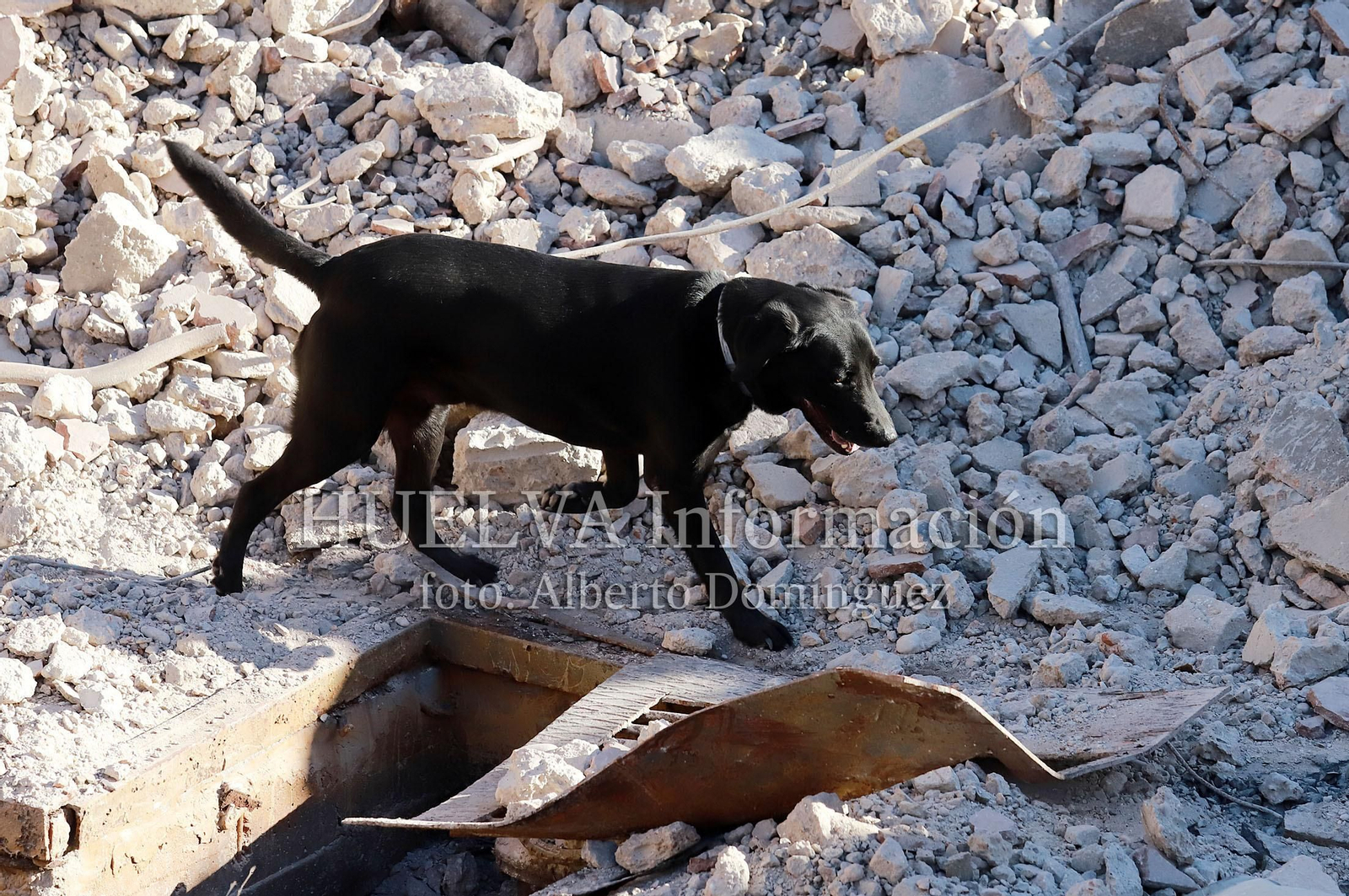 Imágenes del simulacro de los Bomberos de Huelva con la Unidad Canina