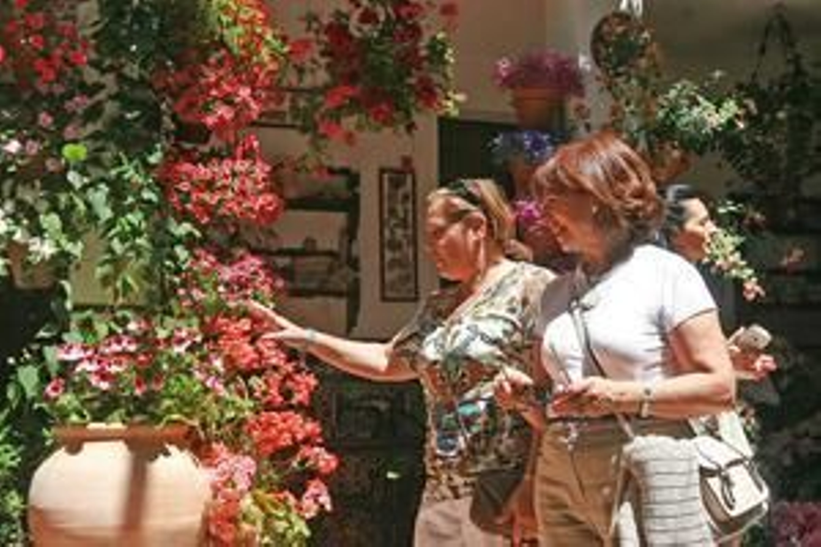 Foto: O. Barrionuevo