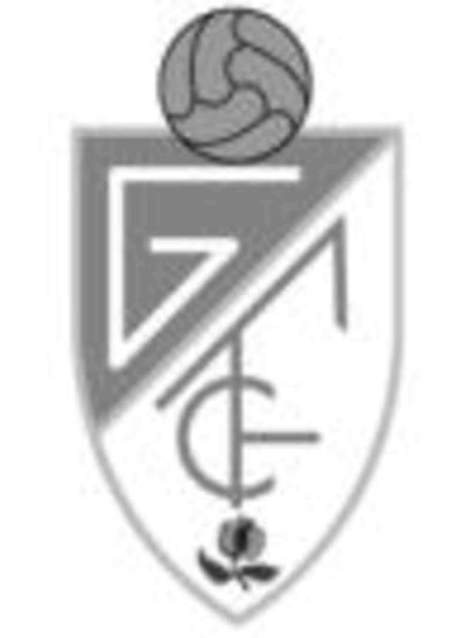 Los aficionados rojiblancos mostraron su desaprobación con el juego del equipo durante y al final del partido.