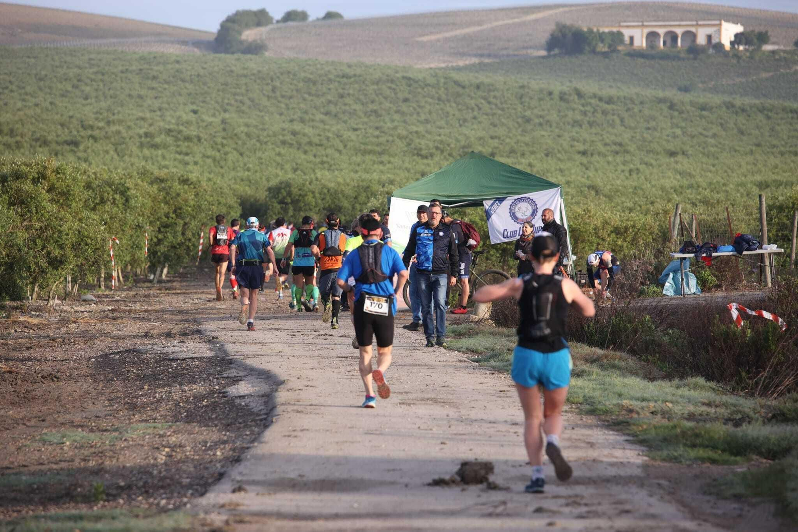 Imágenes de la V Sherry Maratón de Jerez