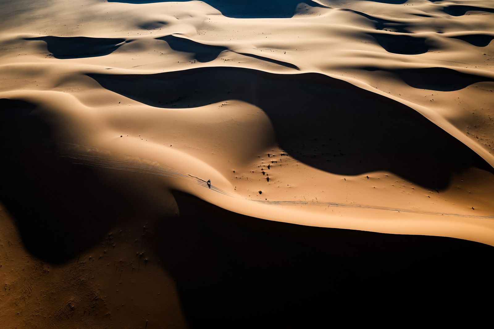 Las mejores fotos del Rally Dakar | Octava etapa