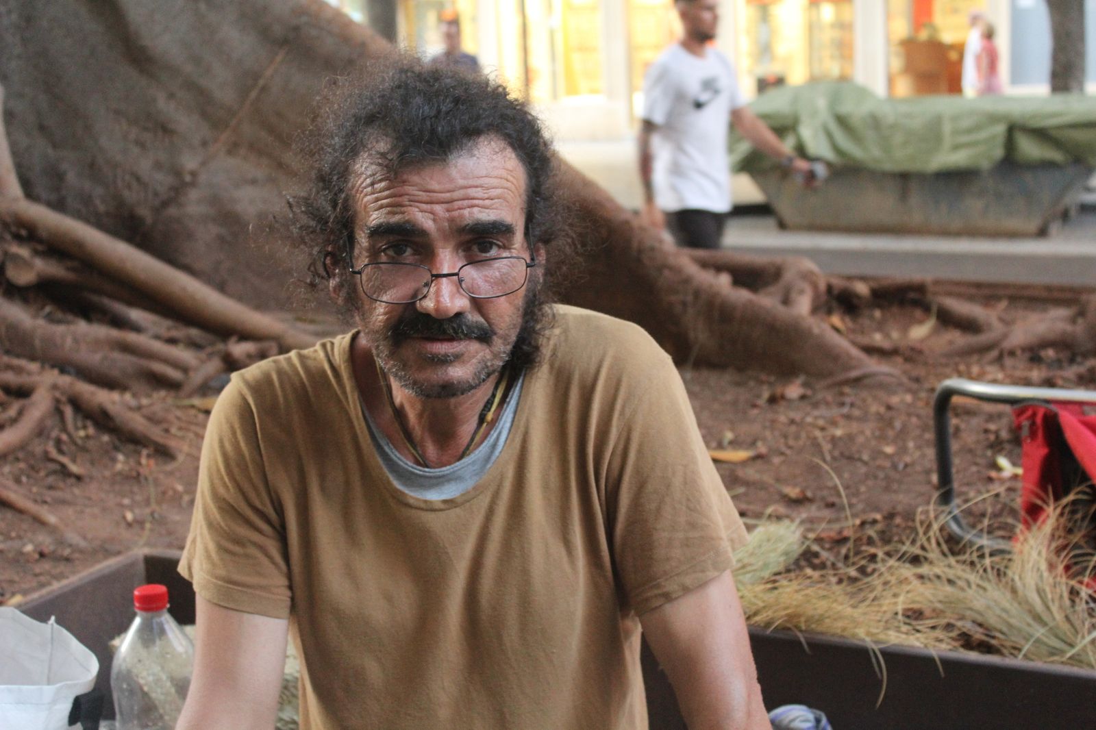 Alfonso Salmerón Antequera en el Ficus centenario del Paseo.