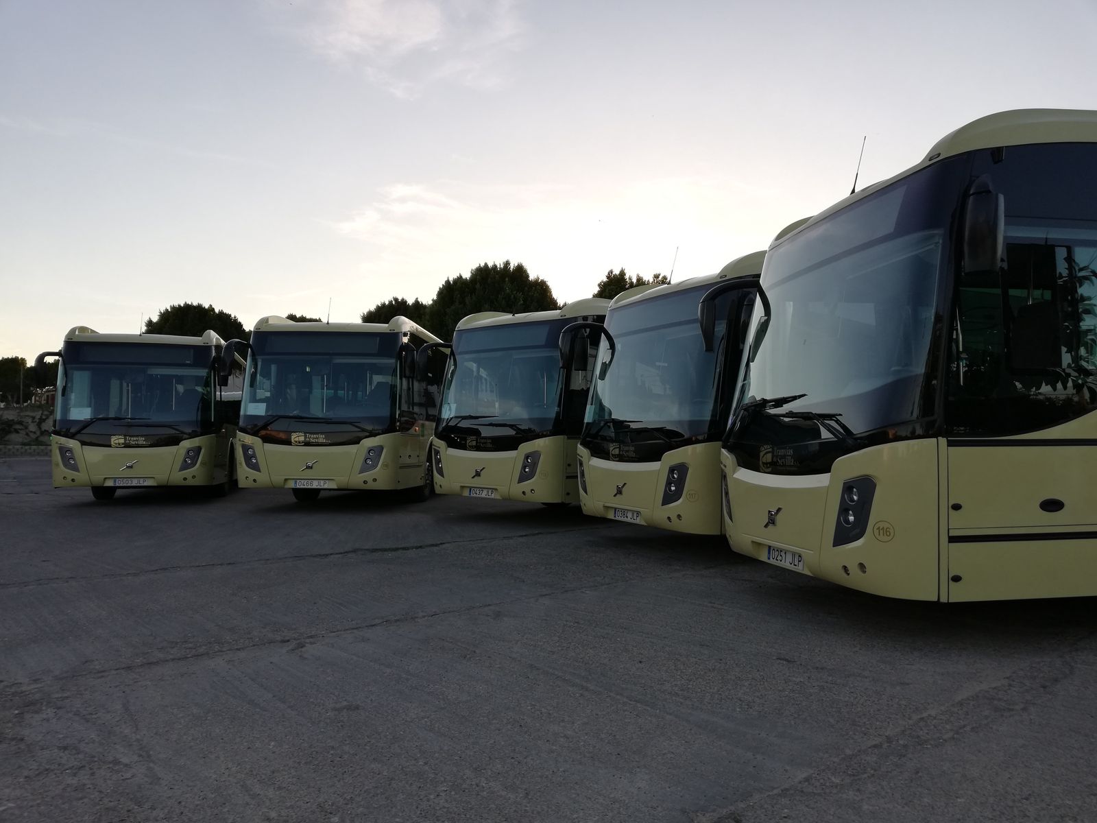 Autobuses metropolitanos de Sevilla.