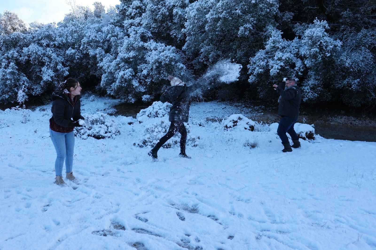 La nieve tiñe de blanco la Serranía de Ronda