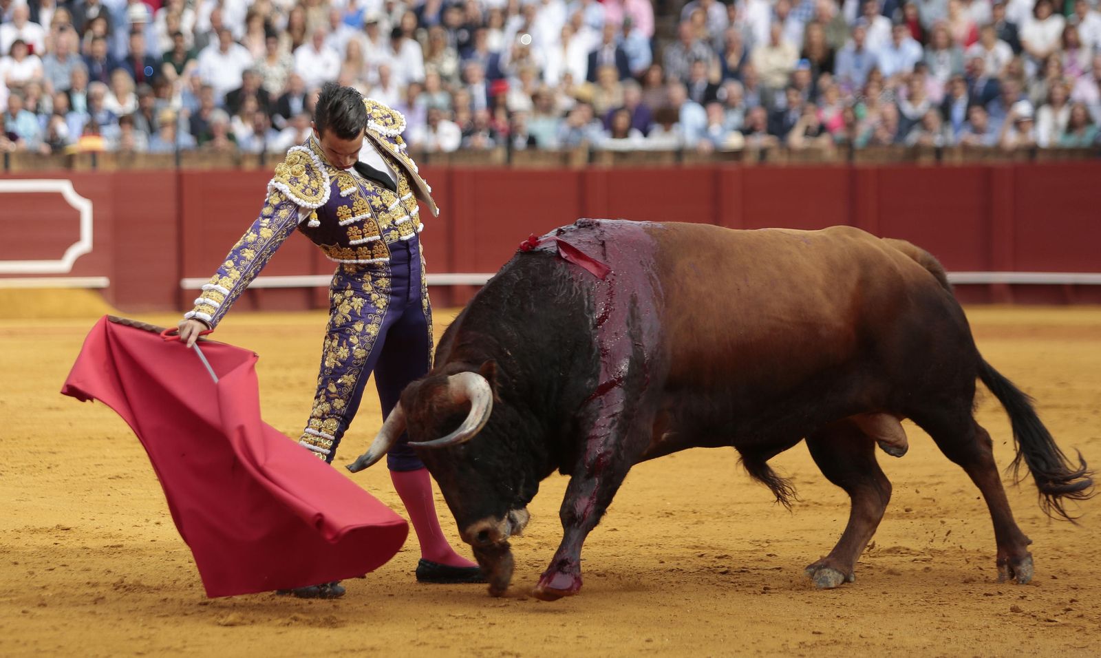 Las imágenes de la duodécima de abono de la Maestranza