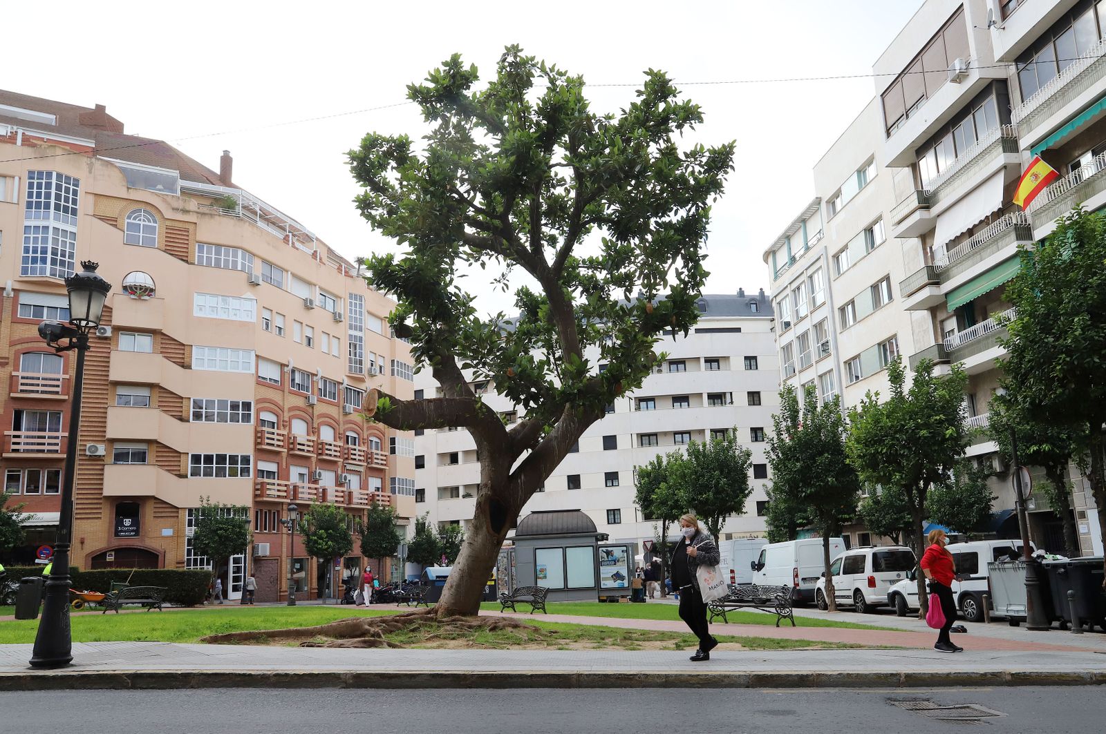 Imágenes del martes 24 de noviembre en Huelva