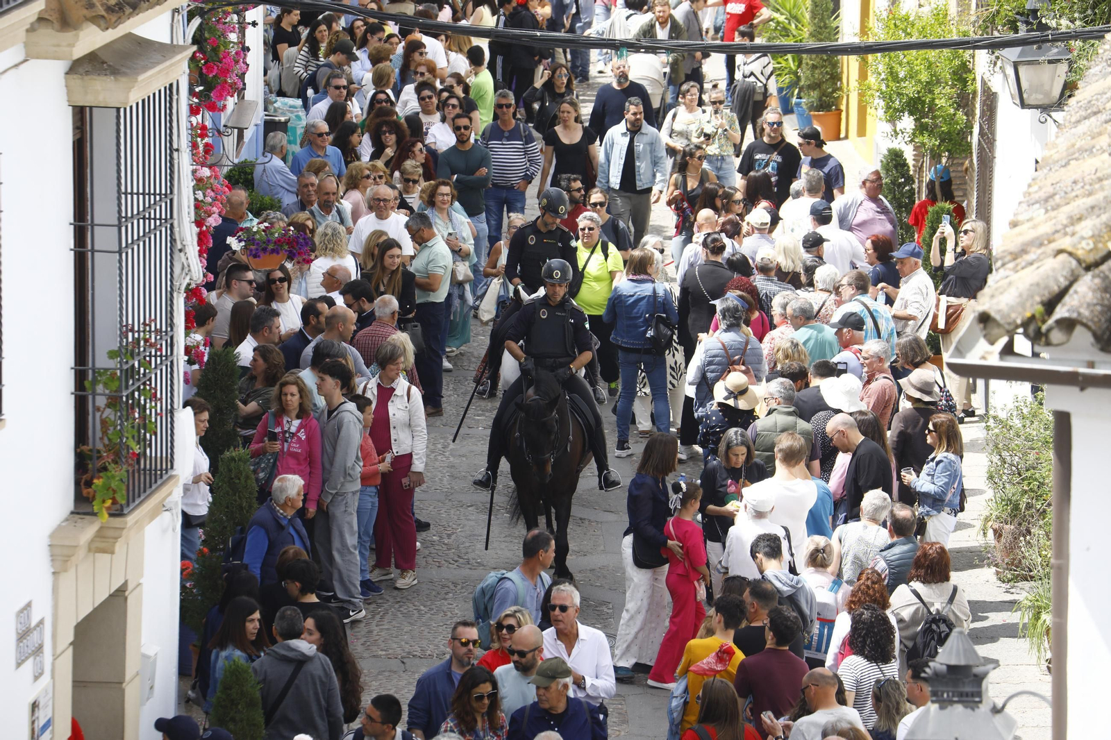 Colas e ilusión en el primer sábado de los Patios de Córdoba, en imágenes