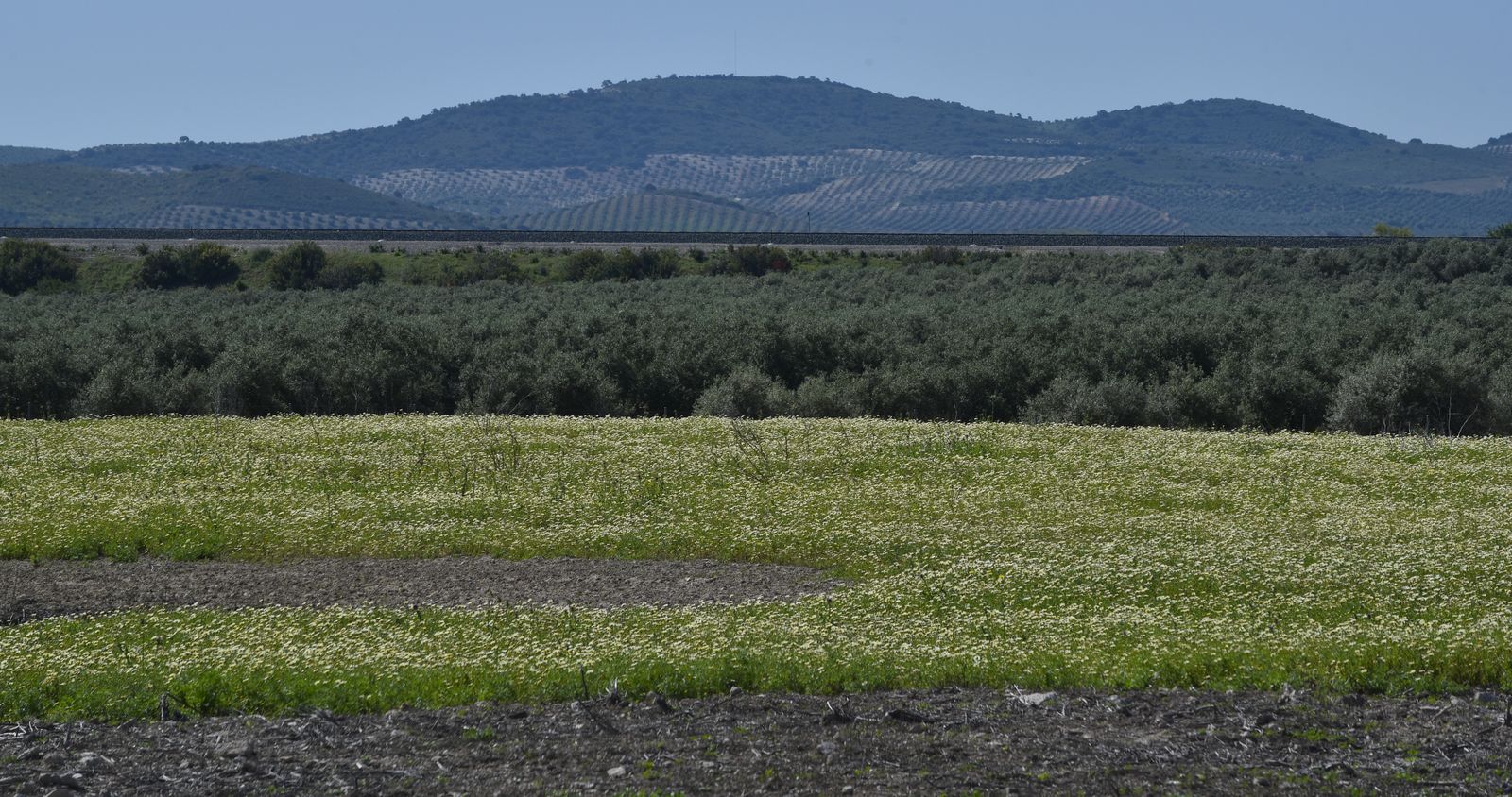 La resistencia en los pueblos de Sevilla al Coronavirus: Aguadulce