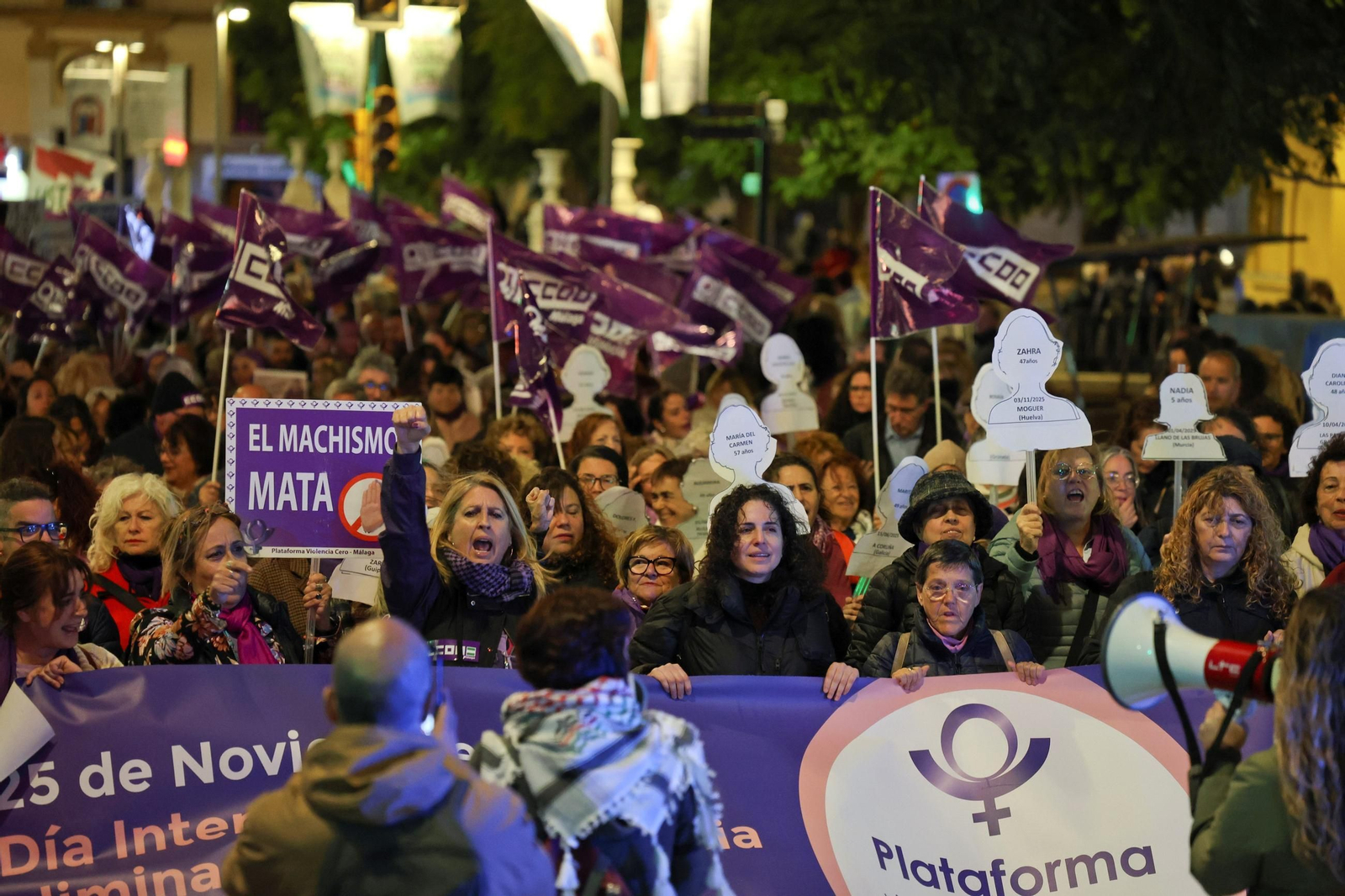 La manifestación del 25N en Málaga, en imágenes