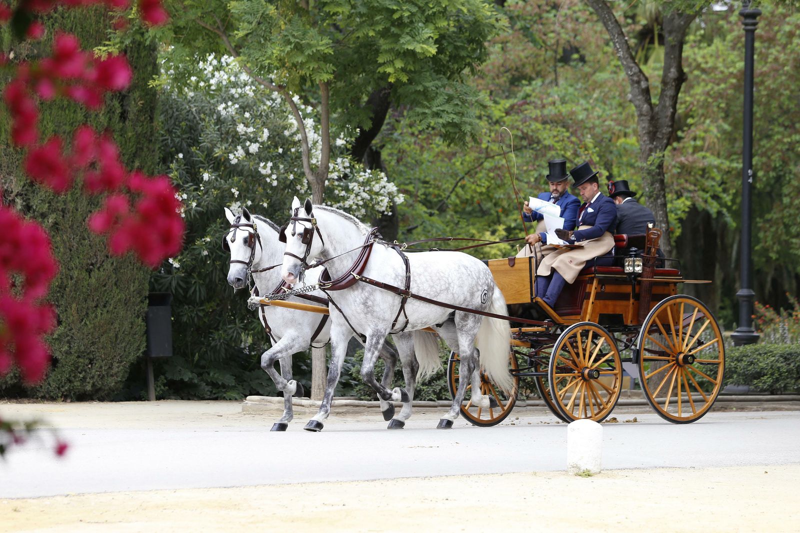El concurso de enganches, en imágenes