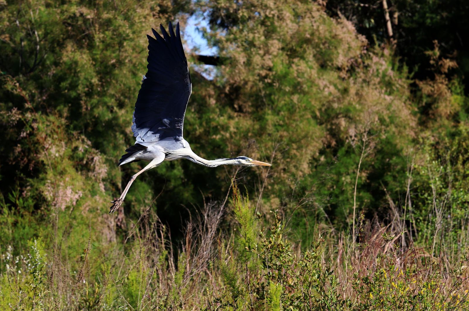 Imágenes del sábado 15 de mayo en Huelva
