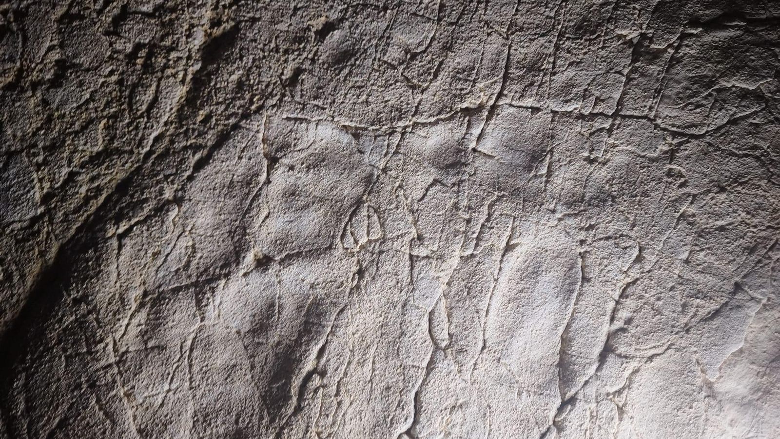 Huella humana demostrada