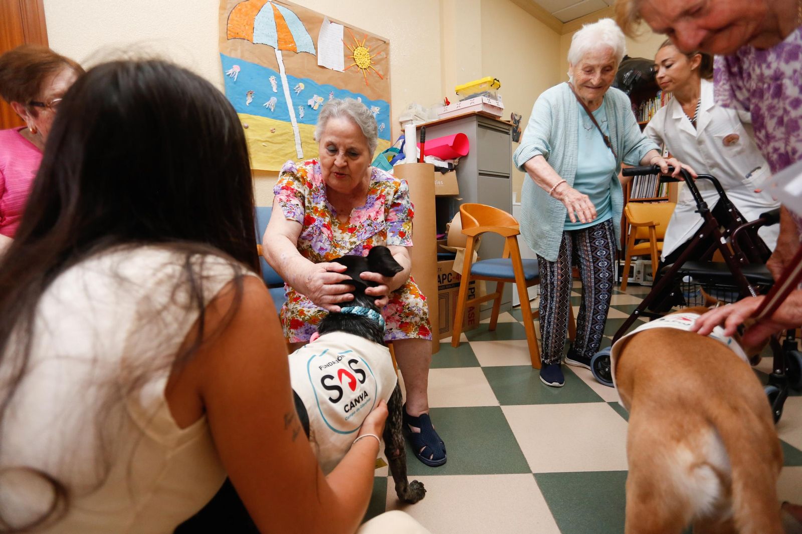 La visita de los perros de la protectora de Los Barrios a la residencia de mayores, en imágenes