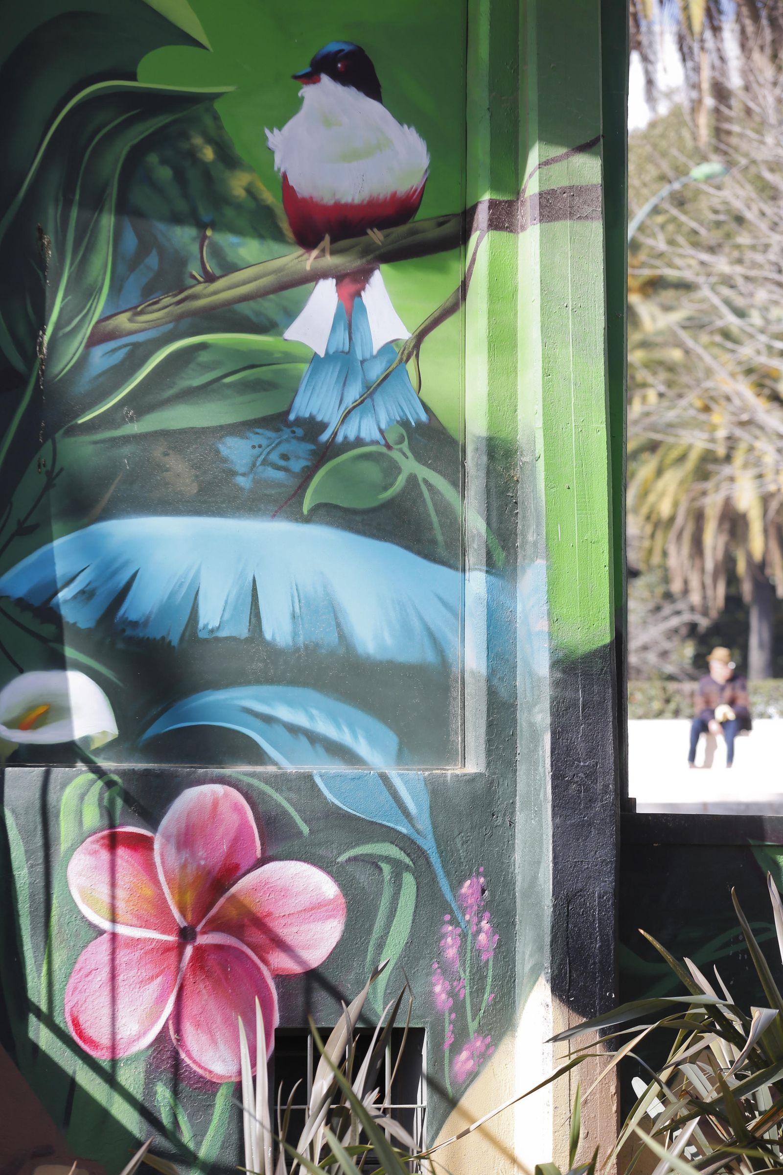 Las imágenes del proyecto 'Málaga más Bella'