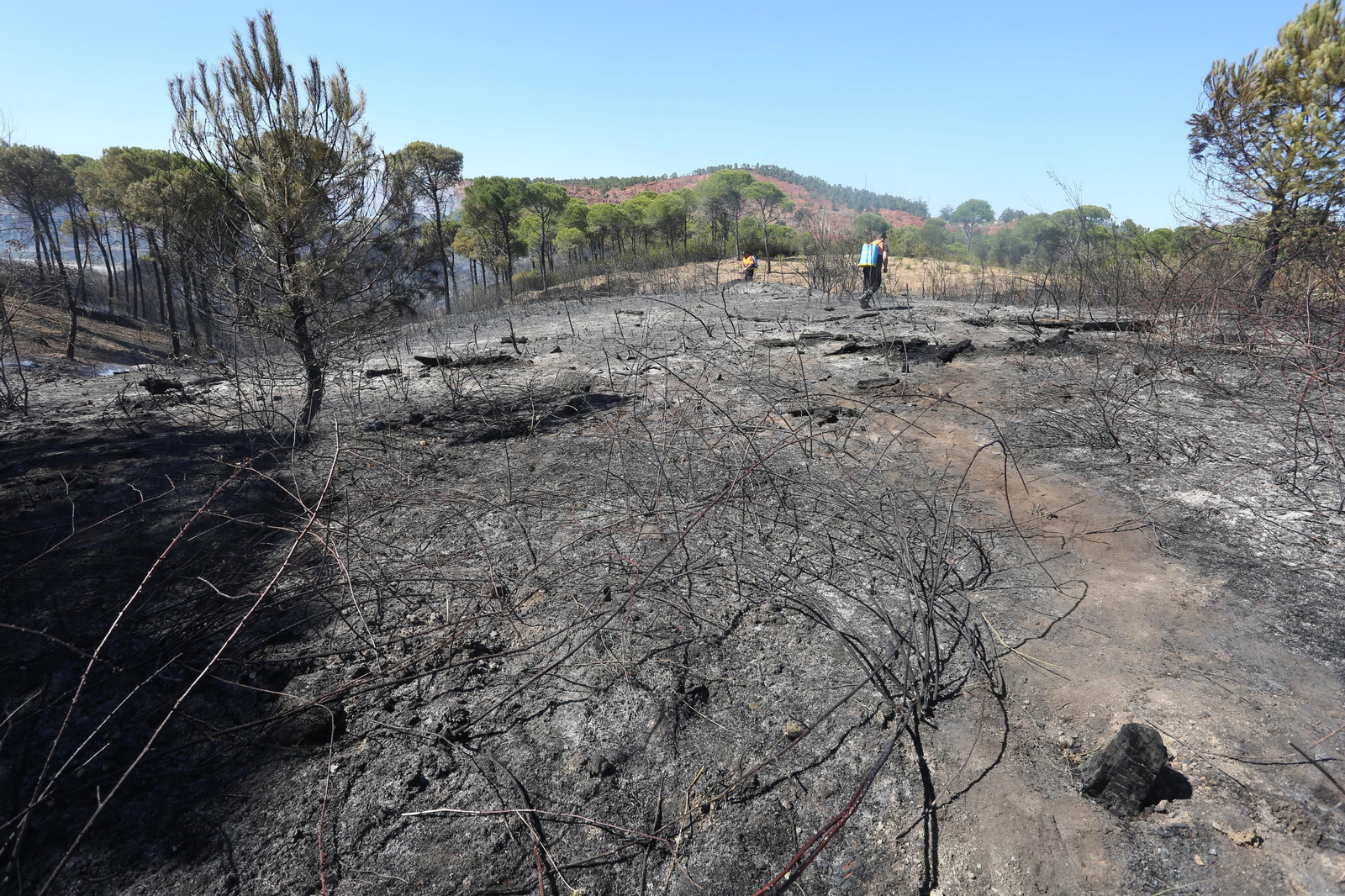 El incendio de Riotinto en imágenes