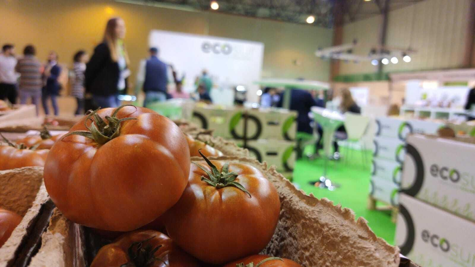 Estand de Ecosur en la pasada feria Bioculturade Sevilla. Estand de Ecosur en la pasada feria Bioculturade Sevilla.