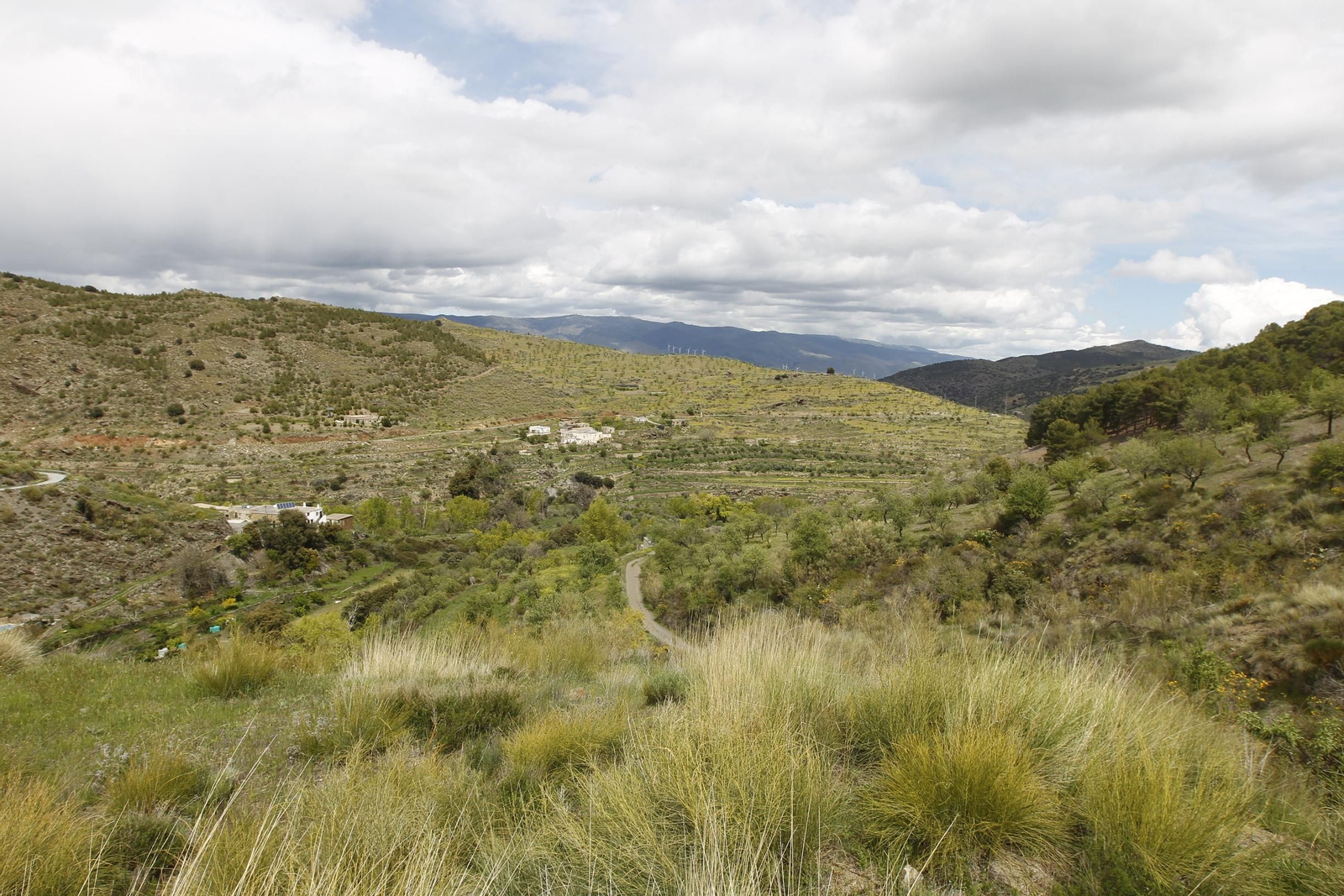 Naturaleza desconfinada. La Roza (Abrucena)
