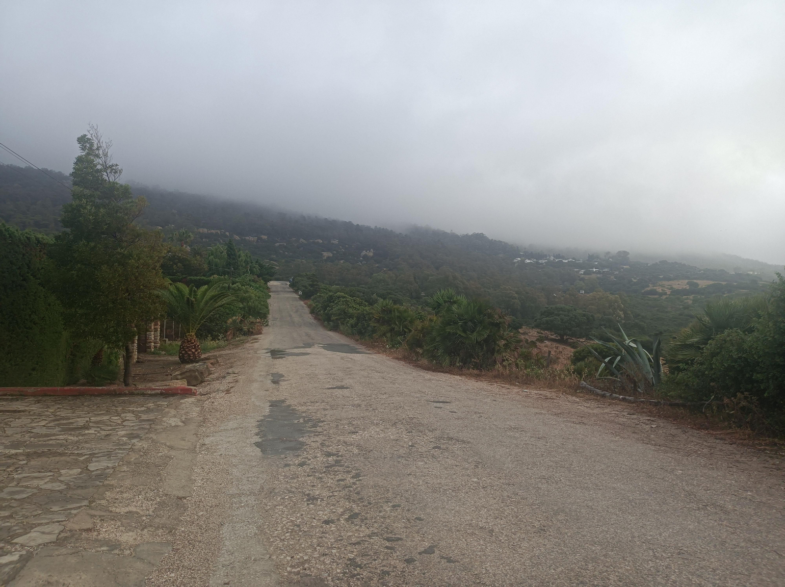 Comienza el ascenso a la Sierra de la Plata.