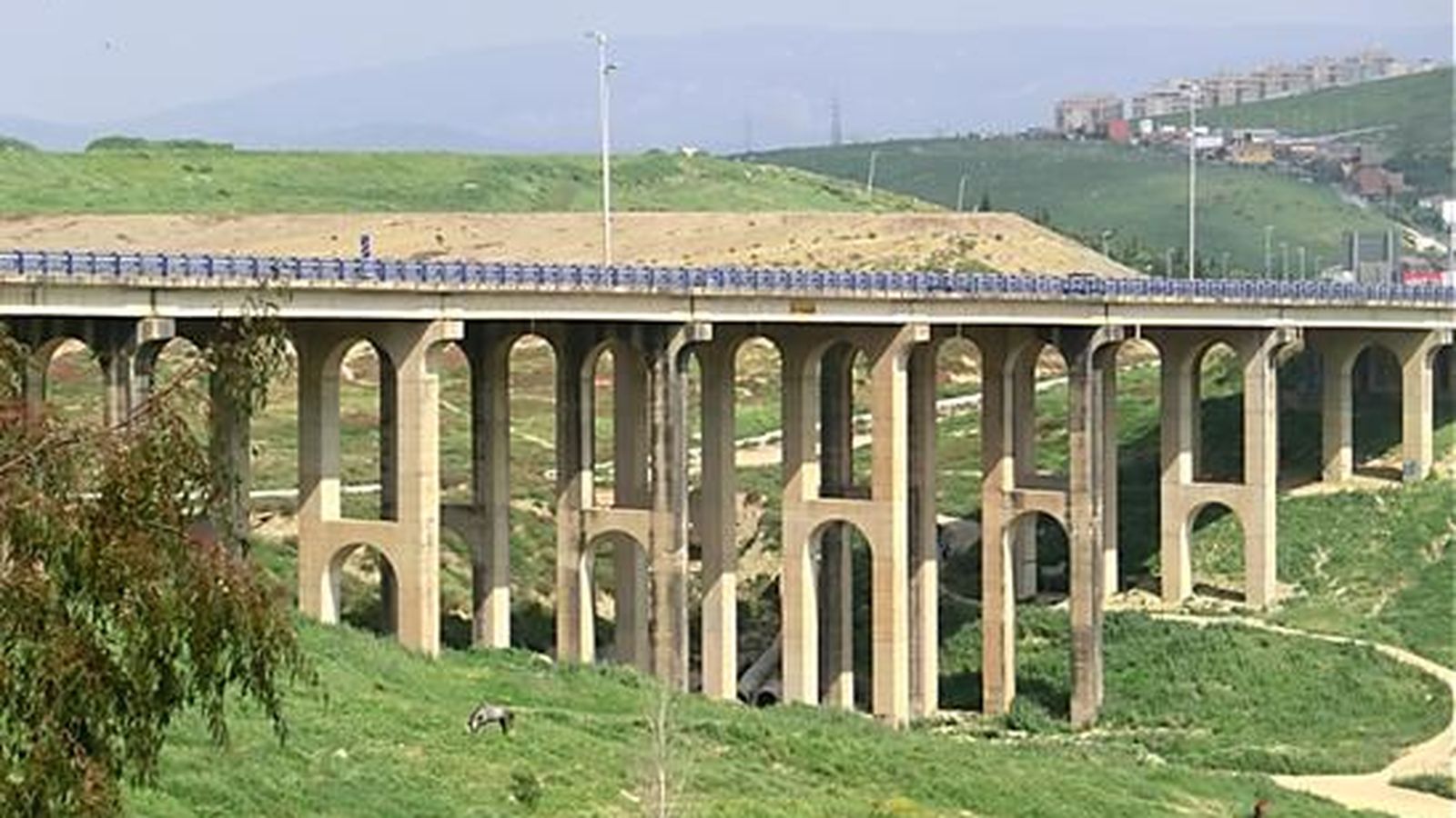Viaducto de Los Alamillos