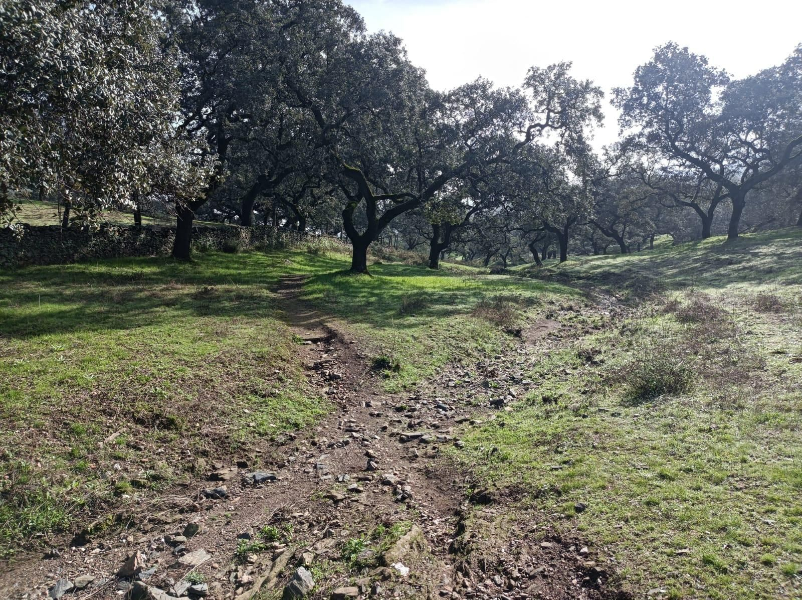 Es posible que el sendero se desdoble, pero siempre queda clara la dirección a seguir.