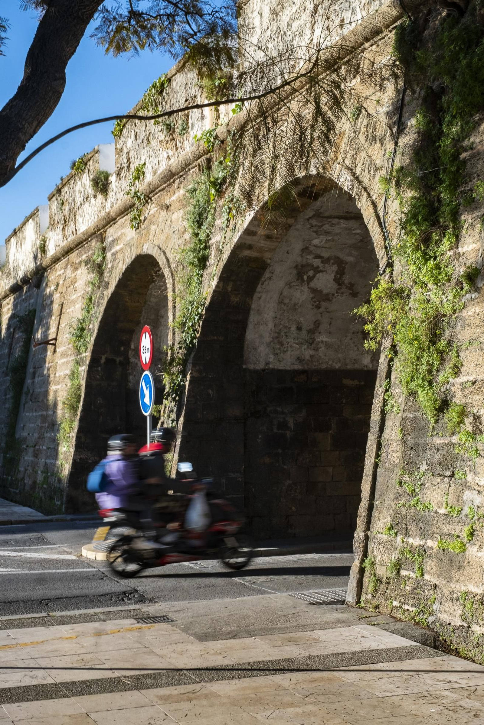 Muralla y bóvedas de San Carlos