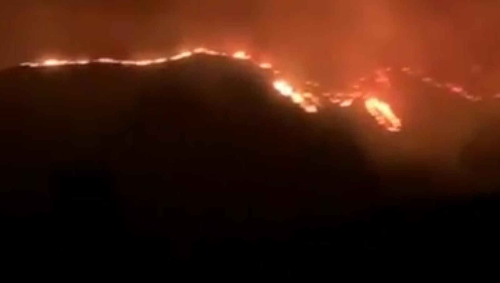 Imagen del incendio de Sierra Bermeja este domingo Imagen del incendio de Sierra Bermeja este domingo
