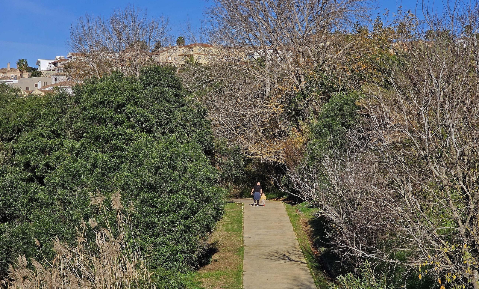Fotos de los desperfectos en el sendero del parque fluvial del río Pícaro en Algeciras