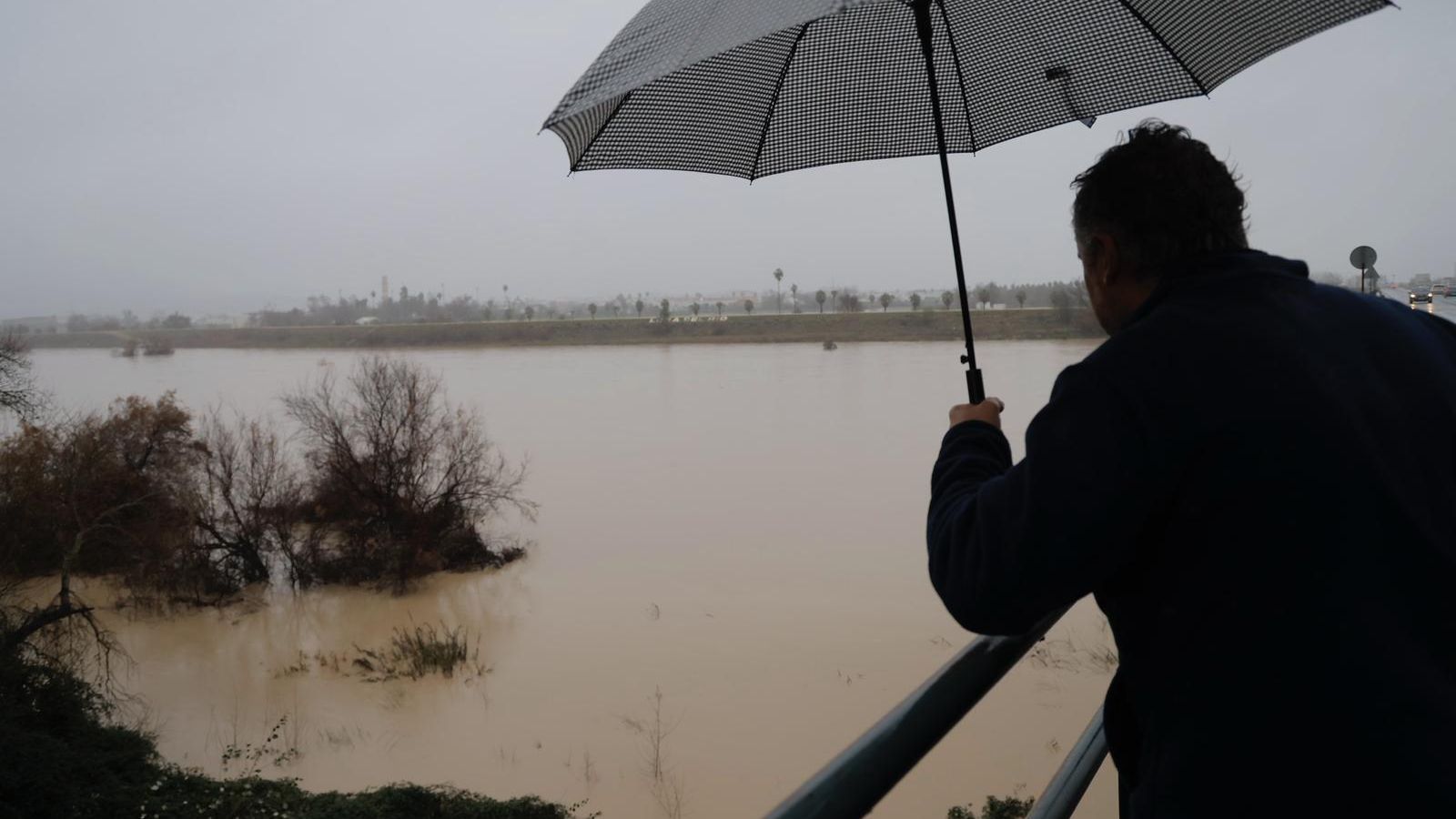 El río Guadalquivir, en Lora del Río.