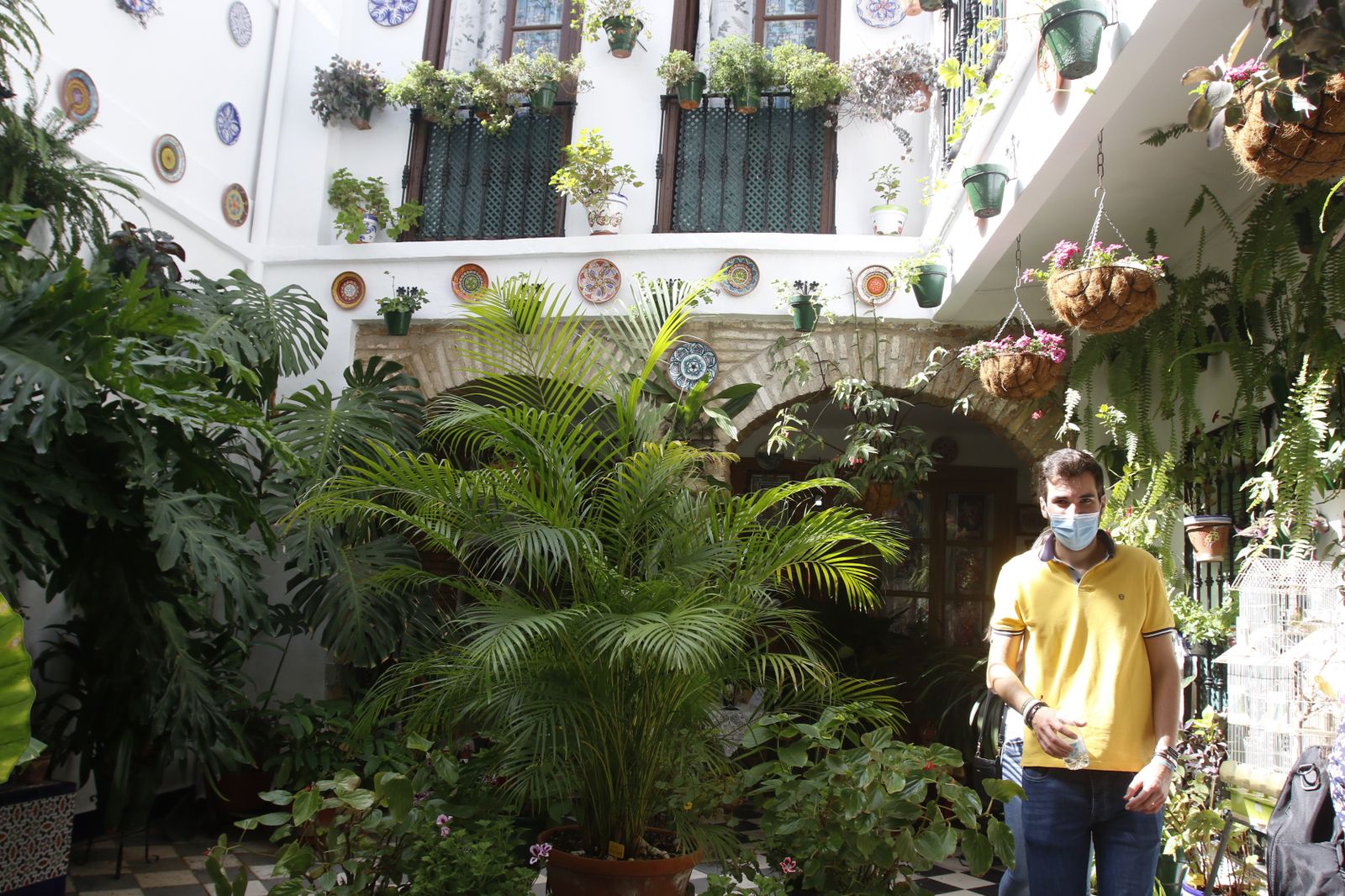 Las fotografías de los Patios de Córdoba en otoño