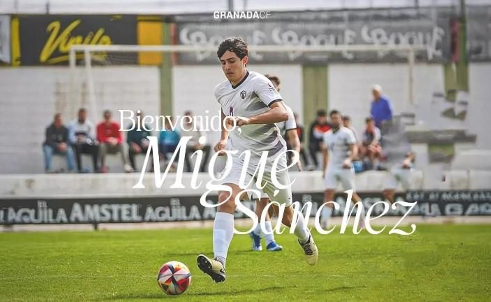 El nuevo jugador recreativista