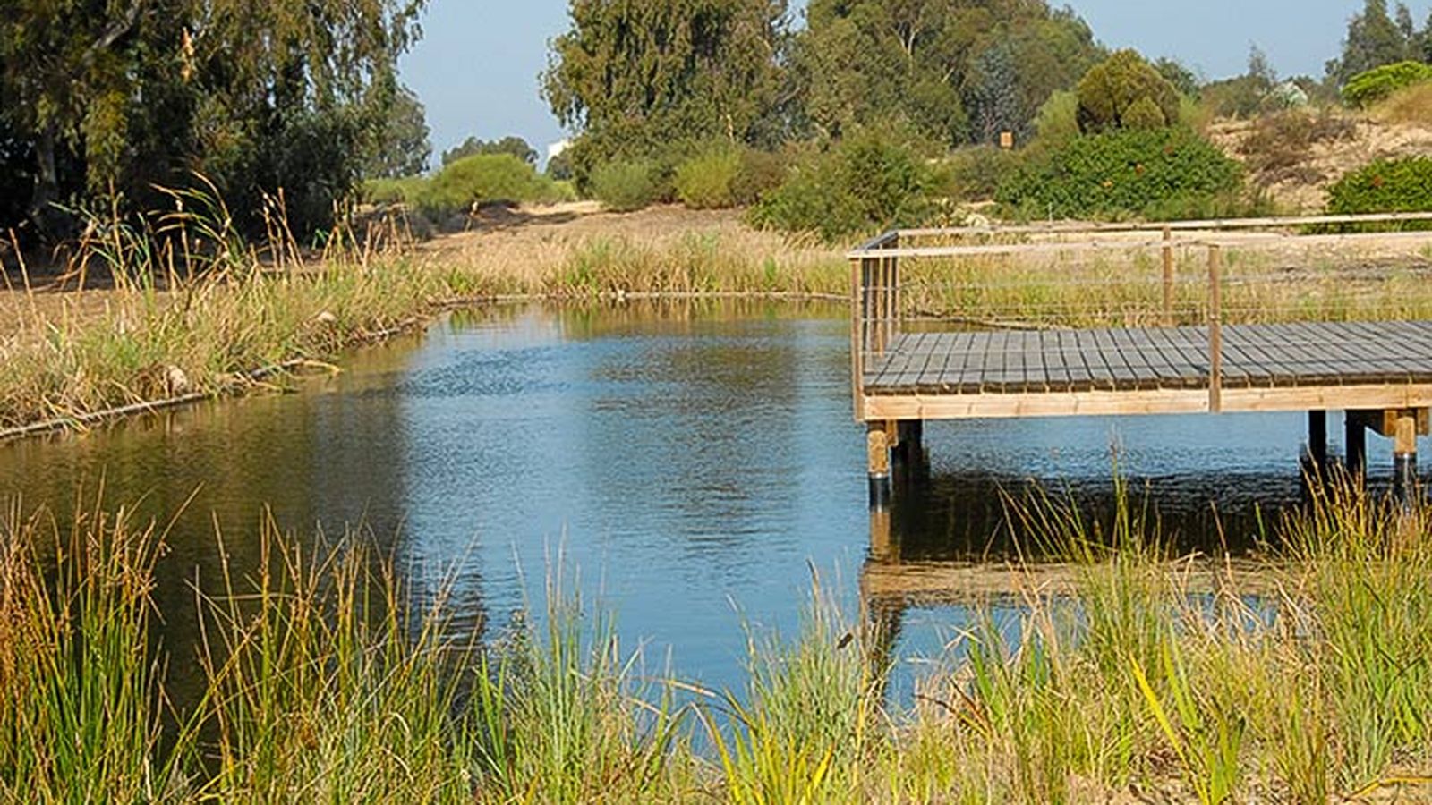 Lagunas de agua dulce