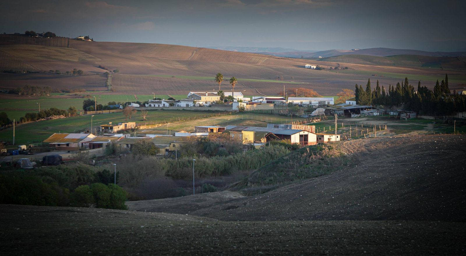 Imágenes de los vecinos de Mesas de Asta en los terrenos de Asta Regia