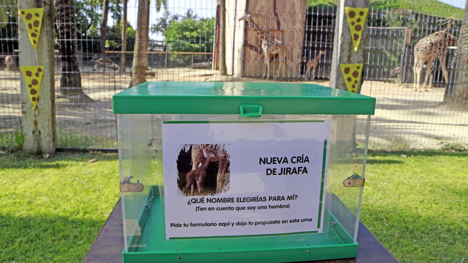 Reapertura del Zoo de Jerez