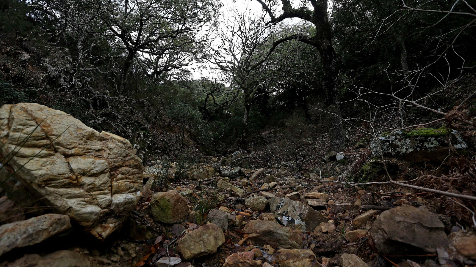 Las mejores fotos de la finca La Almoraima