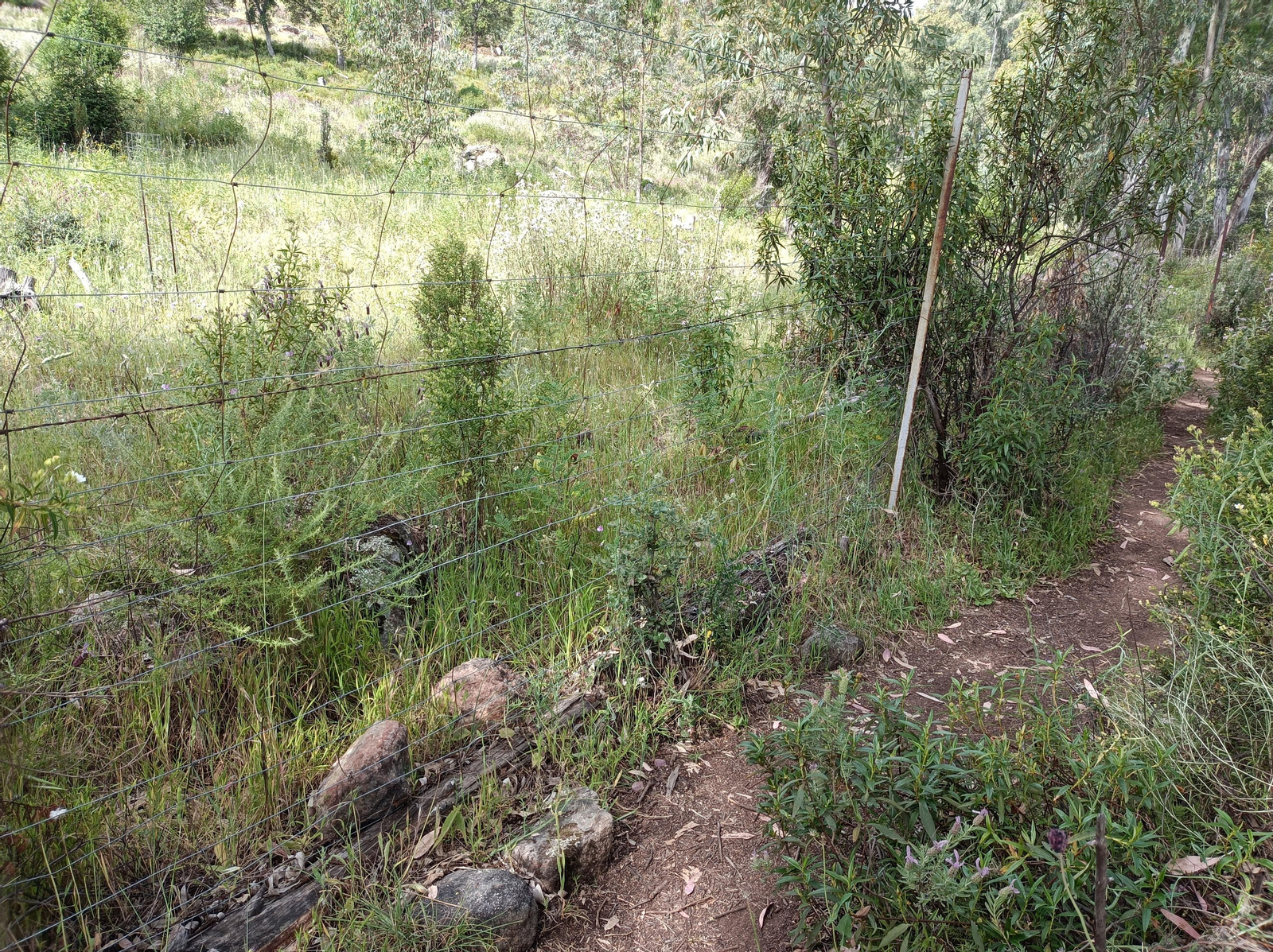 Imágenes de la georruta de El Chorro, en Almadén de la Plata