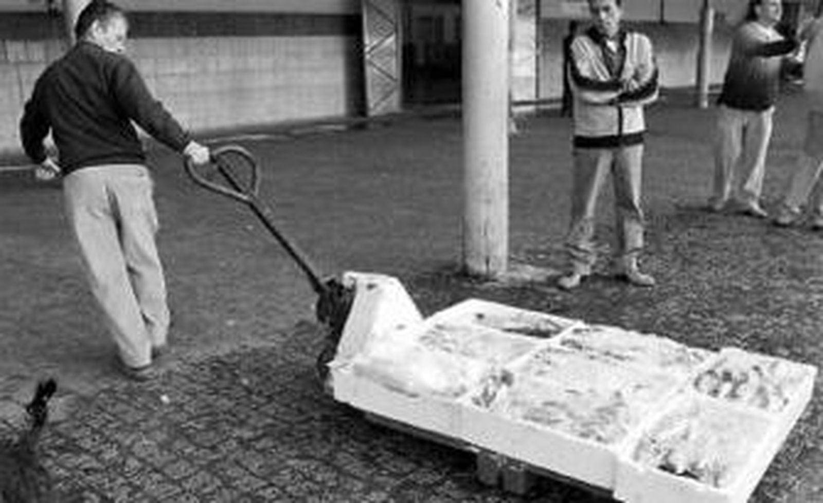Un trabajador tira de un palé de pescado en la lonja de El Puerto.