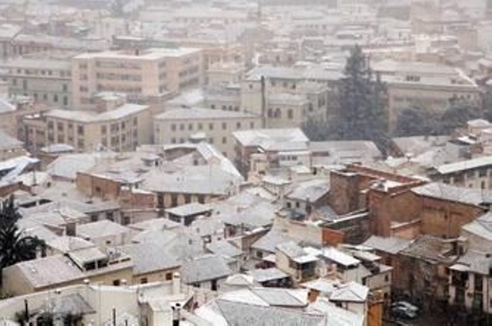 Y todo se volvió blanco