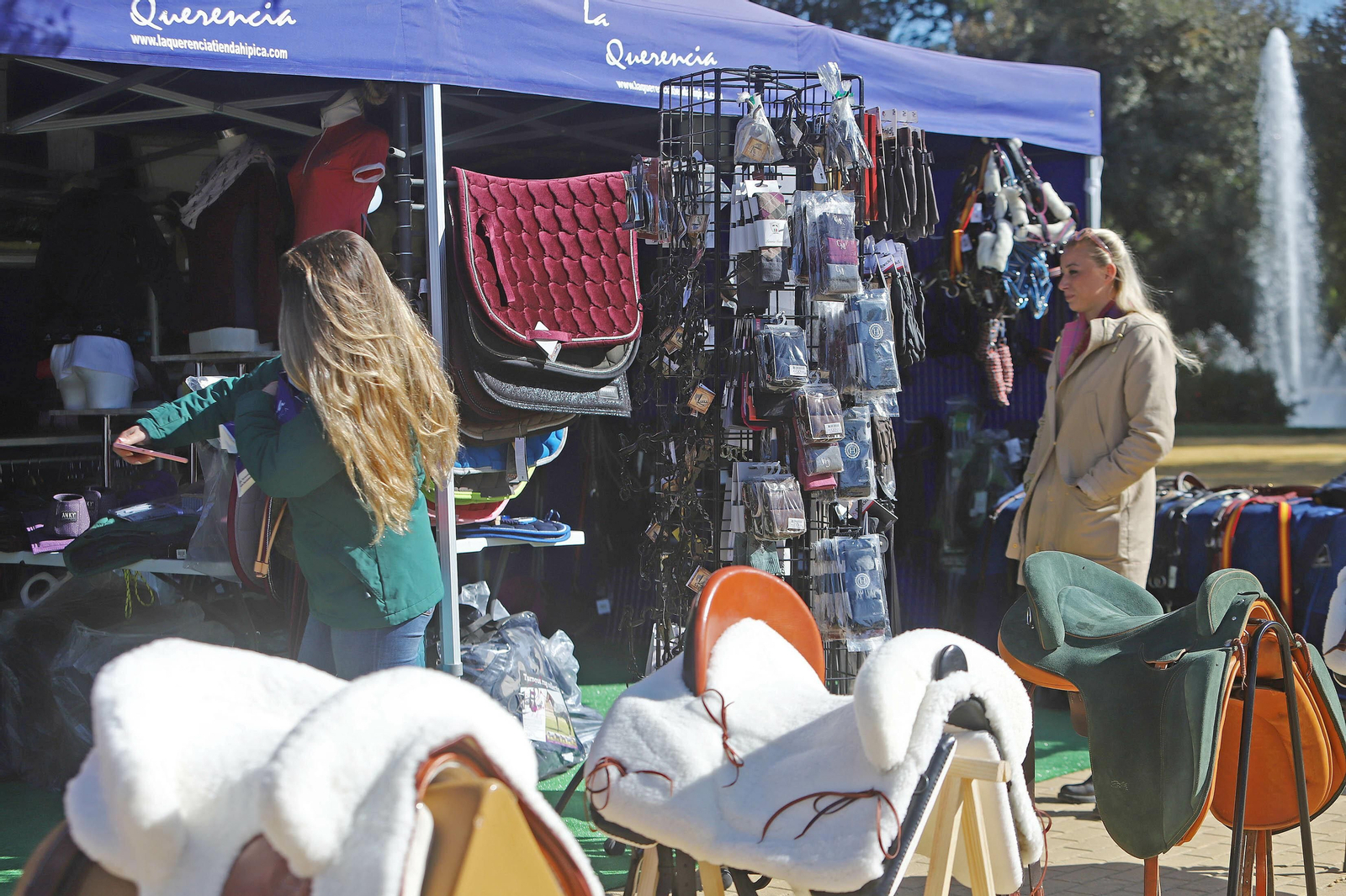 XVII Campeonato de Andalucía de Doma de Alta Escuela